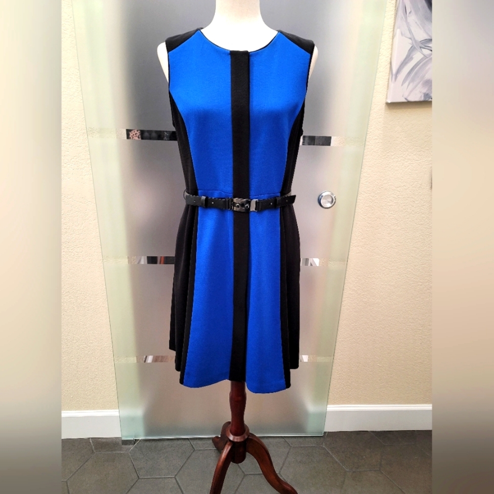 Vince Camuto Sleeveless Button-front Color Block Dress with Leather Belt sz 12